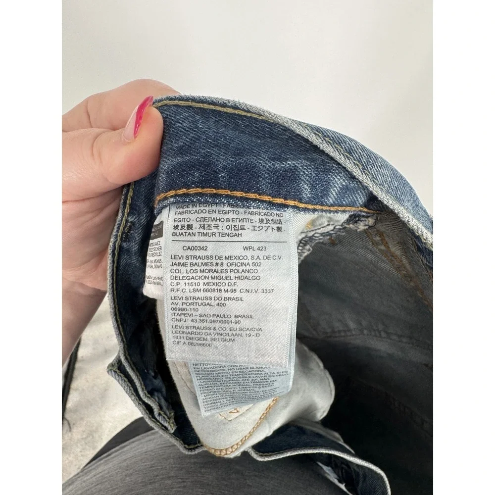 Levis levis 559